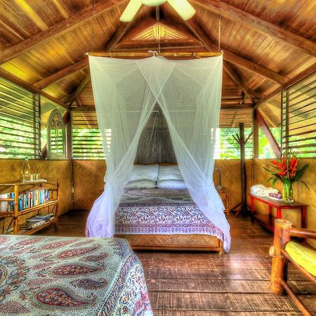 Iguana Lodge Beach Resort Puerto Jiménez Εξωτερικό φωτογραφία