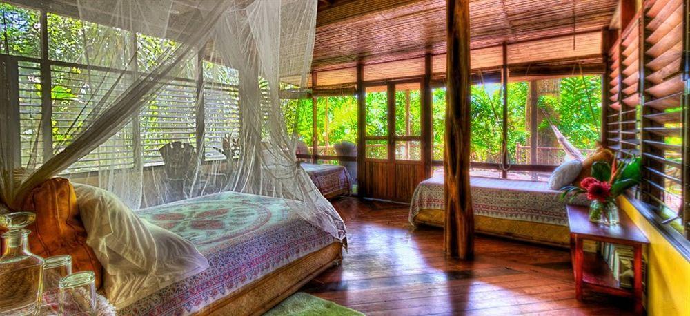 Iguana Lodge Beach Resort Puerto Jiménez Εξωτερικό φωτογραφία