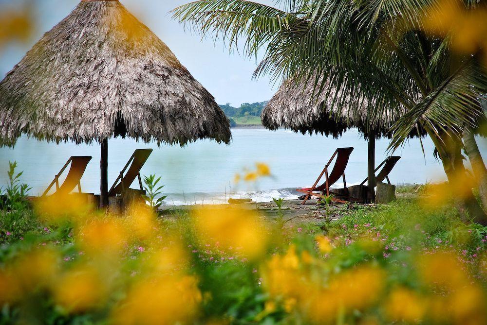 Iguana Lodge Beach Resort Puerto Jiménez Εξωτερικό φωτογραφία