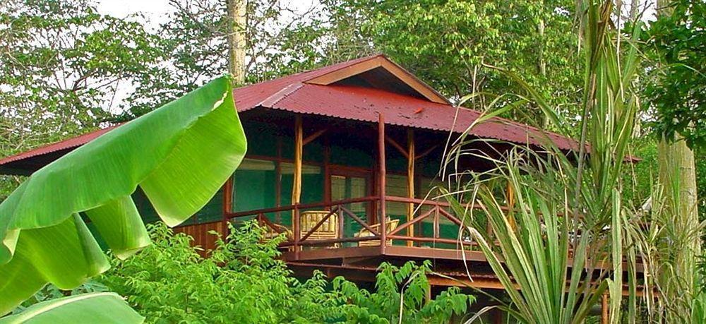 Iguana Lodge Beach Resort Puerto Jiménez Εξωτερικό φωτογραφία