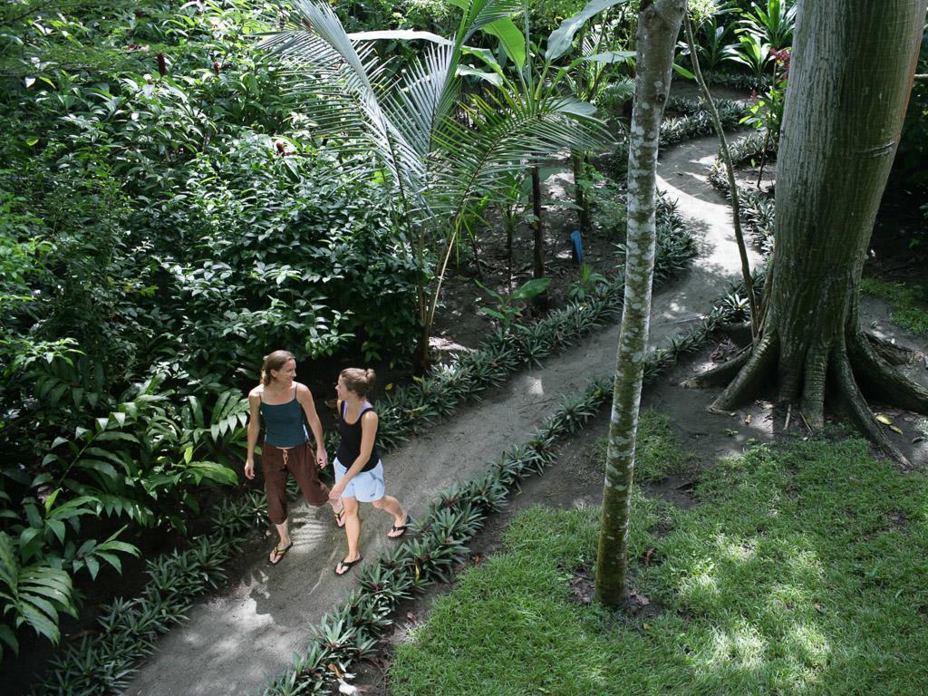 Iguana Lodge Beach Resort Puerto Jiménez Εξωτερικό φωτογραφία