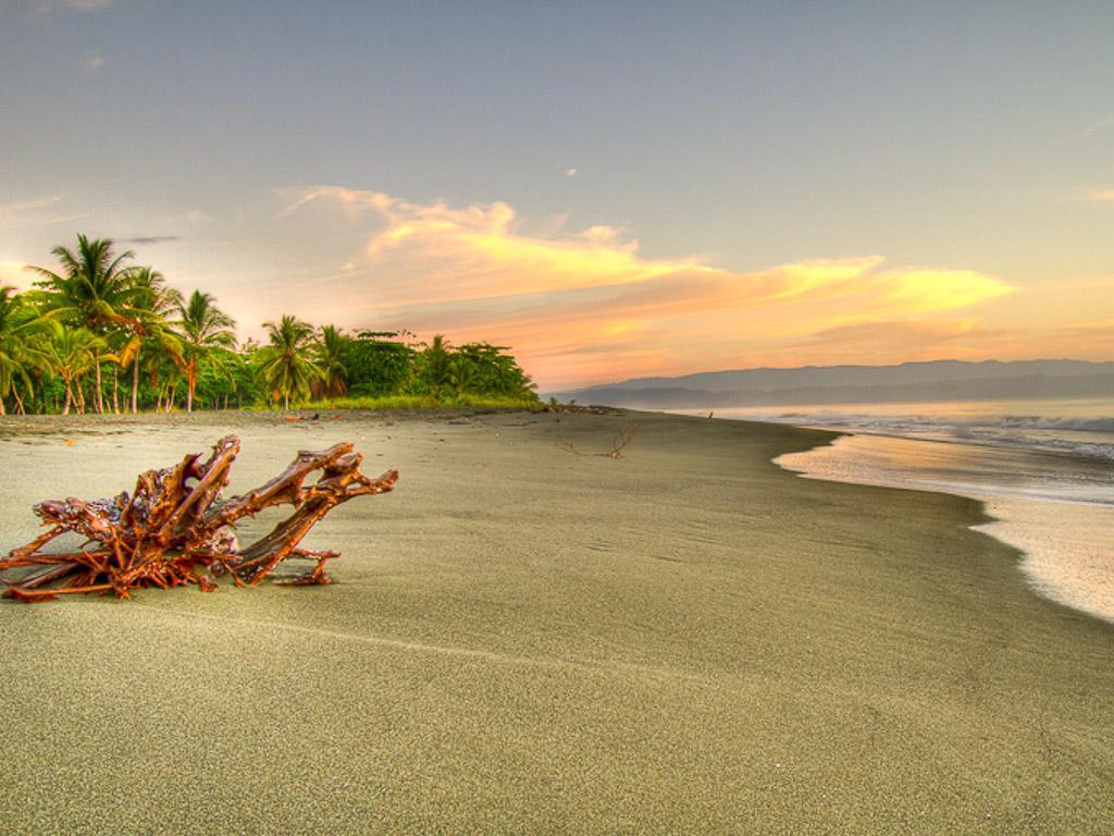 Iguana Lodge Beach Resort Puerto Jiménez Εξωτερικό φωτογραφία
